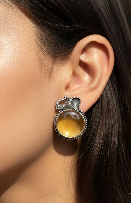 Amber & Sterling Silver Statement Earrings